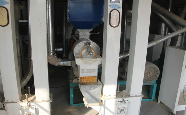玉米糝加工機器